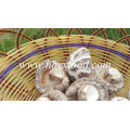 Dried White Flower Mushroom / Dong Gu Vegetable